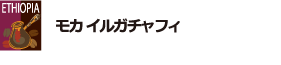 モカ イルガチャフィ